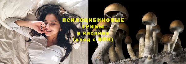 Альфа ПВП Снежногорск