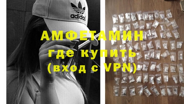 гашик Чегем