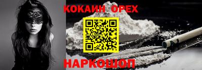 стафф Кингисепп