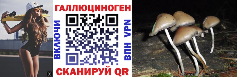 что такое   Углич  ссылка на мегу ONION  Галлюциногенные грибы MAGIC MUSHROOMS 