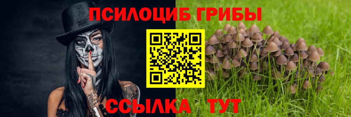 Псилоцибиновые грибы Magic Shrooms  наркотики  Углич  Вход с VPN 